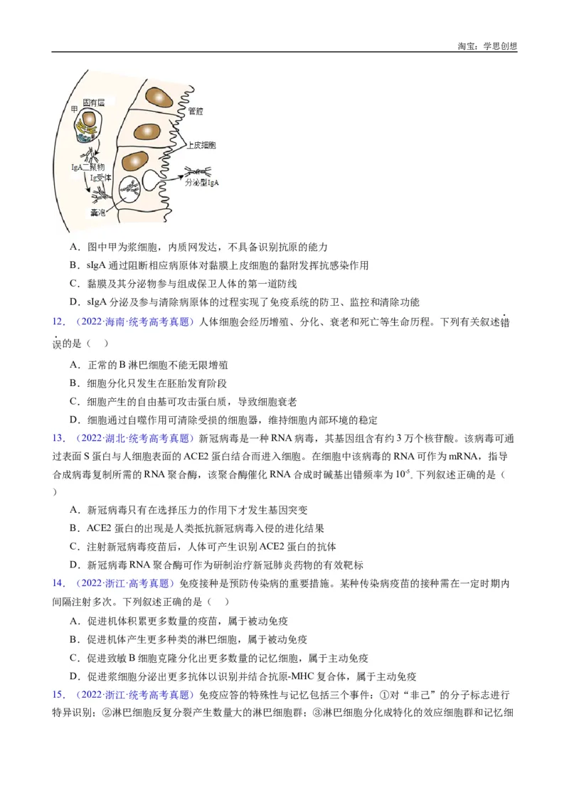 专题19免疫调节-好题汇编十年（2015-2024）高考生物真题分类汇编（全国通用）（原卷版）_生物真题汇总_十年（2014-2024）高考生物真题分项汇编（全国通用）