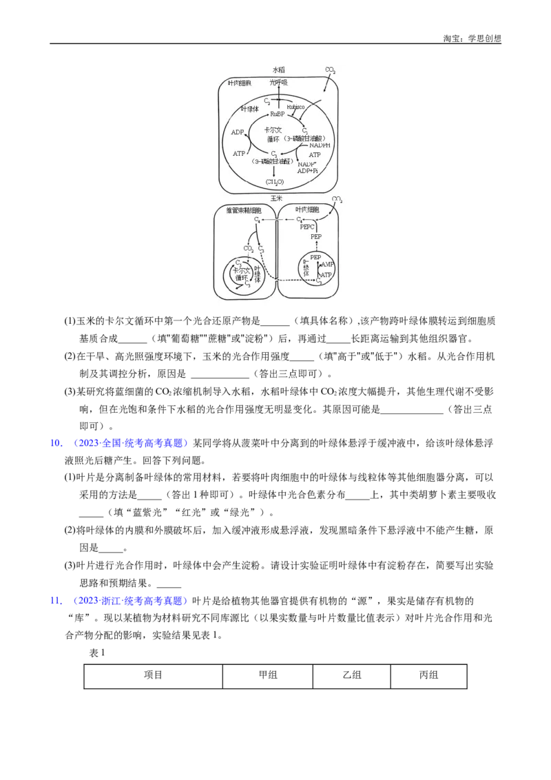 专题07细胞代谢的综合-好题汇编十年（2015-2024）高考生物真题分类汇编（全国通用）（原卷版）_生物真题汇总_十年（2014-2024）高考生物真题分项汇编（全国通用）