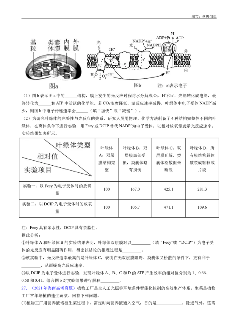 专题07细胞代谢的综合-好题汇编十年（2015-2024）高考生物真题分类汇编（全国通用）（原卷版）_生物真题汇总_十年（2014-2024）高考生物真题分项汇编（全国通用）