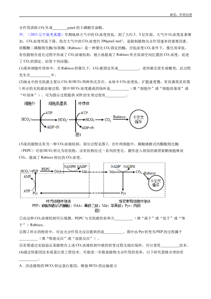 专题07细胞代谢的综合-好题汇编十年（2015-2024）高考生物真题分类汇编（全国通用）（原卷版）_生物真题汇总_十年（2014-2024）高考生物真题分项汇编（全国通用）