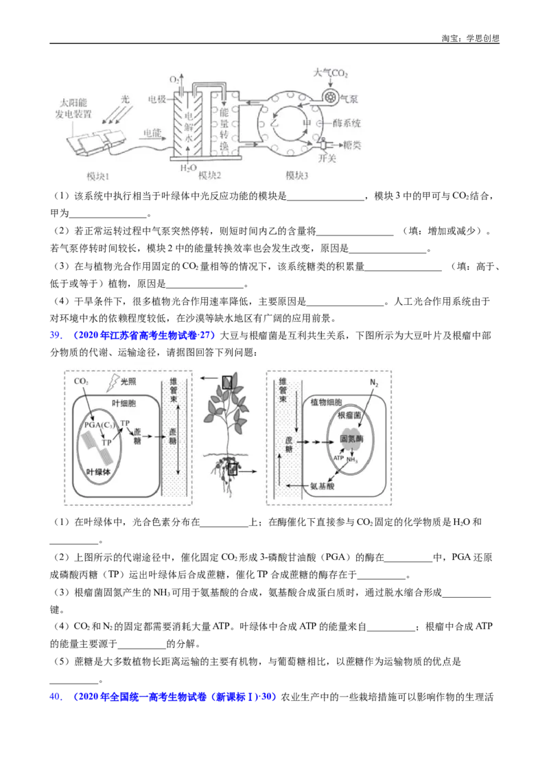 专题07细胞代谢的综合-好题汇编十年（2015-2024）高考生物真题分类汇编（全国通用）（原卷版）_生物真题汇总_十年（2014-2024）高考生物真题分项汇编（全国通用）
