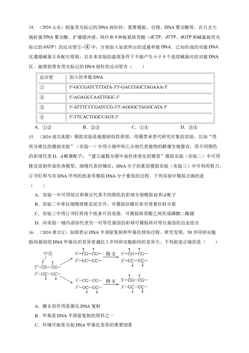 专题09基因的本质_生物真题汇总_&radic;近三年（2023-2025）高考生物真题分专项精编_真题分专项汇编