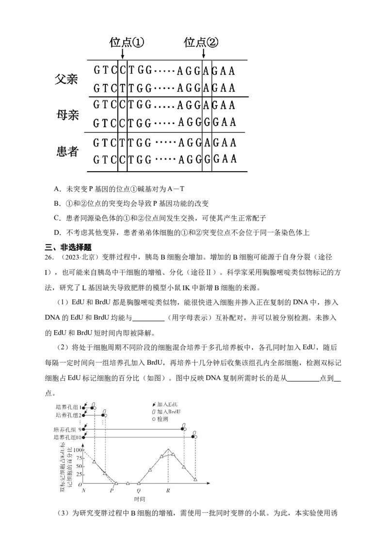 专题09基因的本质_生物真题汇总_&radic;近三年（2023-2025）高考生物真题分专项精编_真题分专项汇编