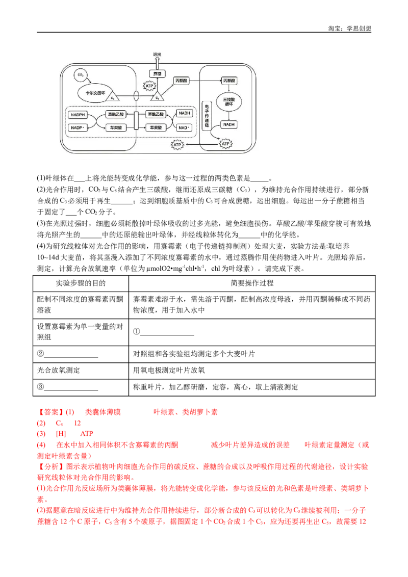 专题07细胞代谢的综合-好题汇编十年（2015-2024）高考生物真题分类汇编（全国通用）（解析版）_生物真题汇总_十年（2014-2024）高考生物真题分项汇编（全国通用）