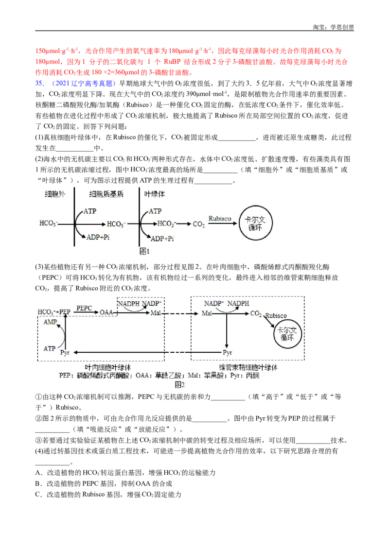 专题07细胞代谢的综合-好题汇编十年（2015-2024）高考生物真题分类汇编（全国通用）（解析版）_生物真题汇总_十年（2014-2024）高考生物真题分项汇编（全国通用）