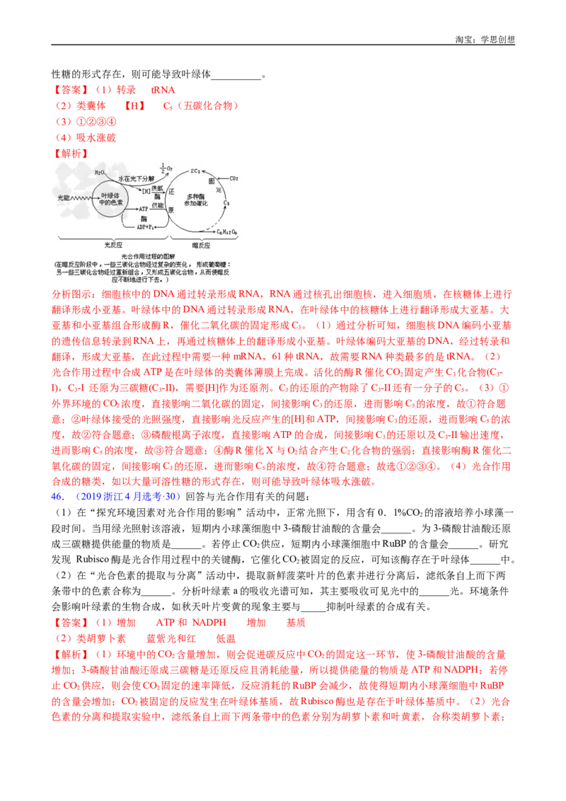 专题07细胞代谢的综合-好题汇编十年（2015-2024）高考生物真题分类汇编（全国通用）（解析版）_生物真题汇总_十年（2014-2024）高考生物真题分项汇编（全国通用）