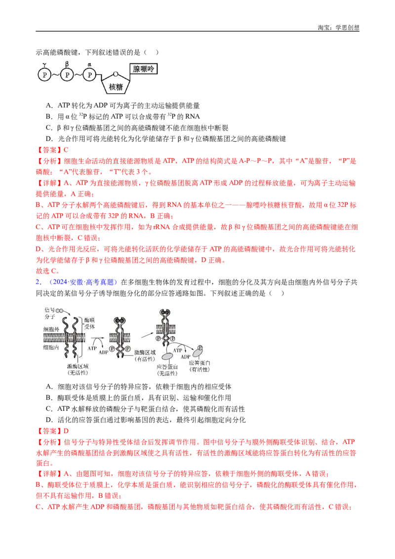专题07细胞代谢的综合-好题汇编十年（2015-2024）高考生物真题分类汇编（全国通用）（解析版）_生物真题汇总_十年（2014-2024）高考生物真题分项汇编（全国通用）