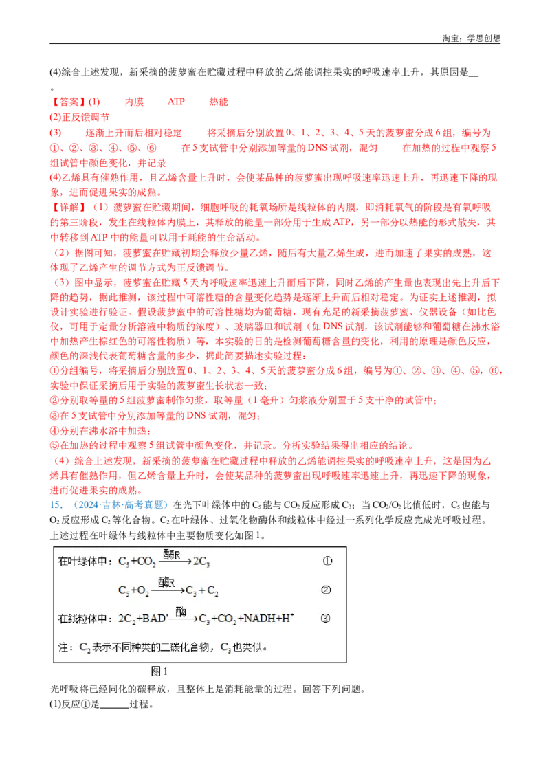 专题07细胞代谢的综合-好题汇编十年（2015-2024）高考生物真题分类汇编（全国通用）（解析版）_生物真题汇总_十年（2014-2024）高考生物真题分项汇编（全国通用）