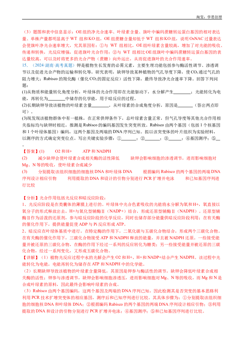 专题07细胞代谢的综合-好题汇编十年（2015-2024）高考生物真题分类汇编（全国通用）（解析版）_生物真题汇总_十年（2014-2024）高考生物真题分项汇编（全国通用）