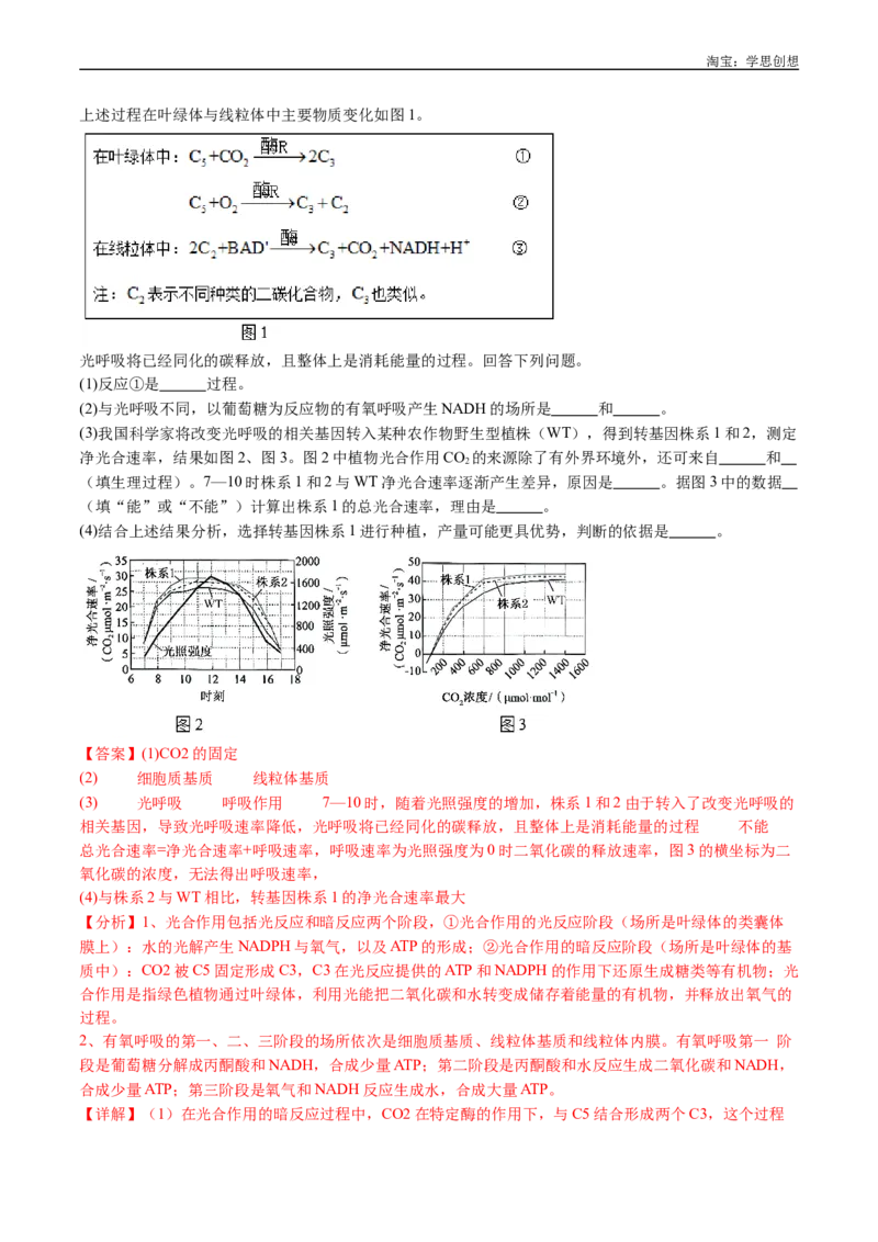 专题07细胞代谢的综合-好题汇编十年（2015-2024）高考生物真题分类汇编（全国通用）（解析版）_生物真题汇总_十年（2014-2024）高考生物真题分项汇编（全国通用）