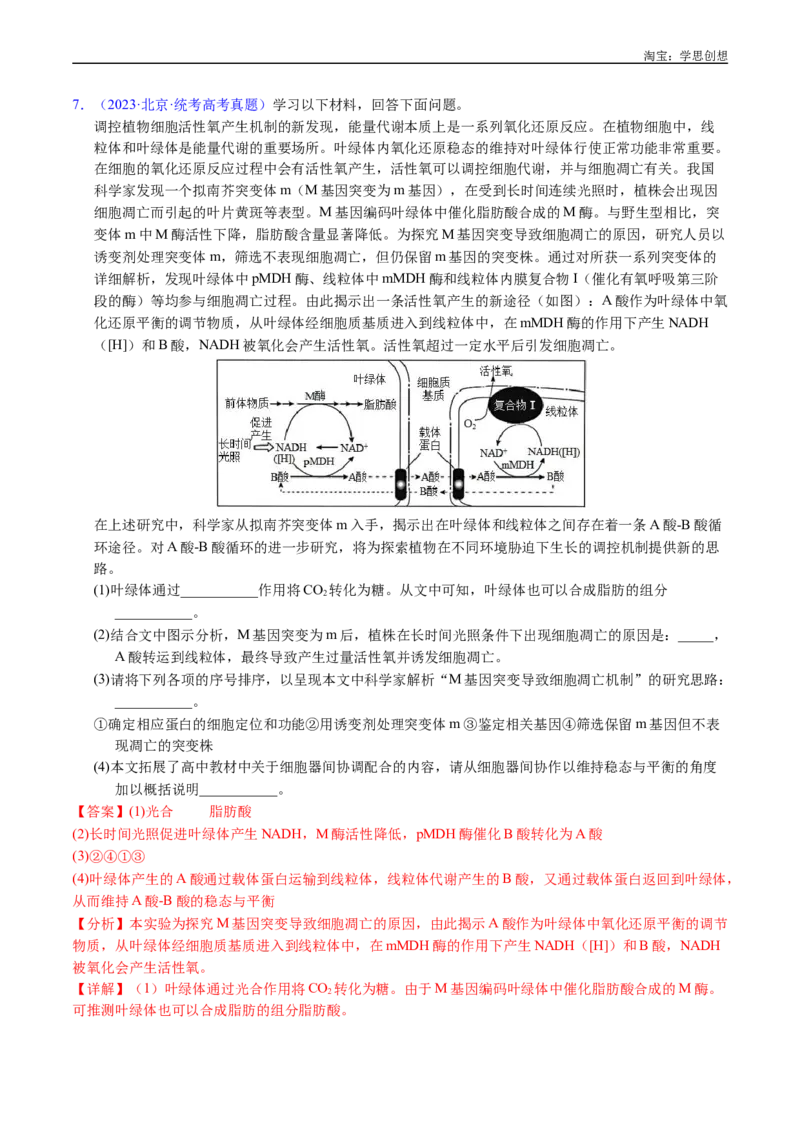 专题07细胞代谢的综合-好题汇编十年（2015-2024）高考生物真题分类汇编（全国通用）（解析版）_生物真题汇总_十年（2014-2024）高考生物真题分项汇编（全国通用）