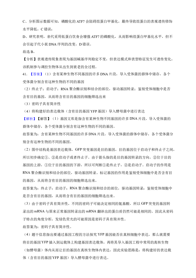 专题10基因的表达（答案解析）_生物真题汇总_&radic;近三年（2023-2025）高考生物真题分专项精编_答案解析
