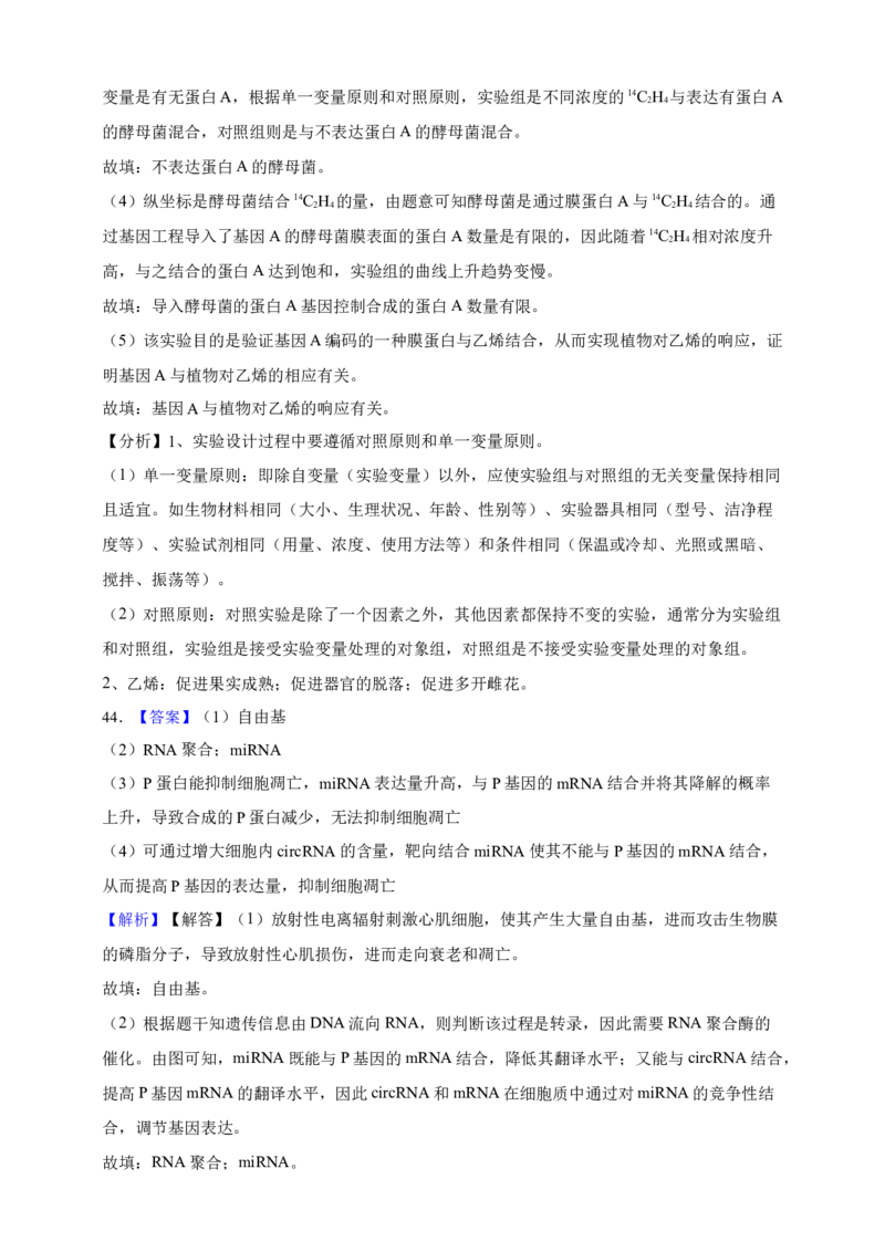 专题10基因的表达（答案解析）_生物真题汇总_&radic;近三年（2023-2025）高考生物真题分专项精编_答案解析