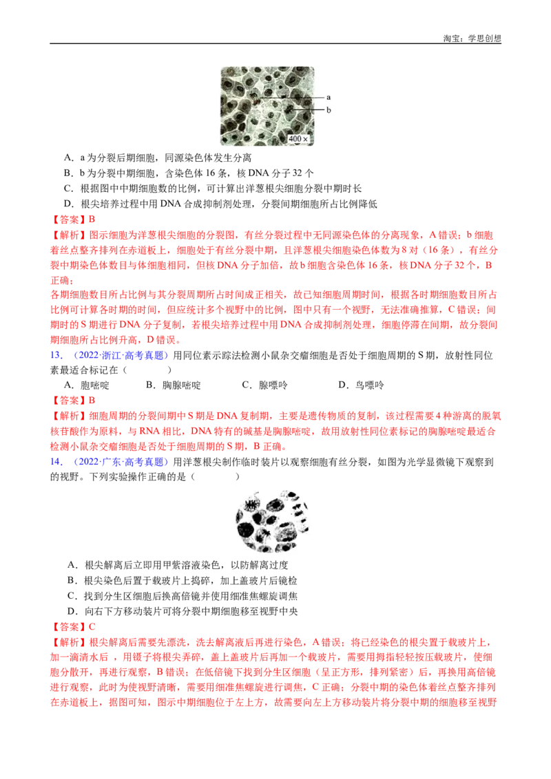 专题08有丝分裂和减数分裂-好题汇编十年（2015-2024）高考生物真题分类汇编（全国通用）（解析版）_生物真题汇总_十年（2014-2024）高考生物真题分项汇编（全国通用）