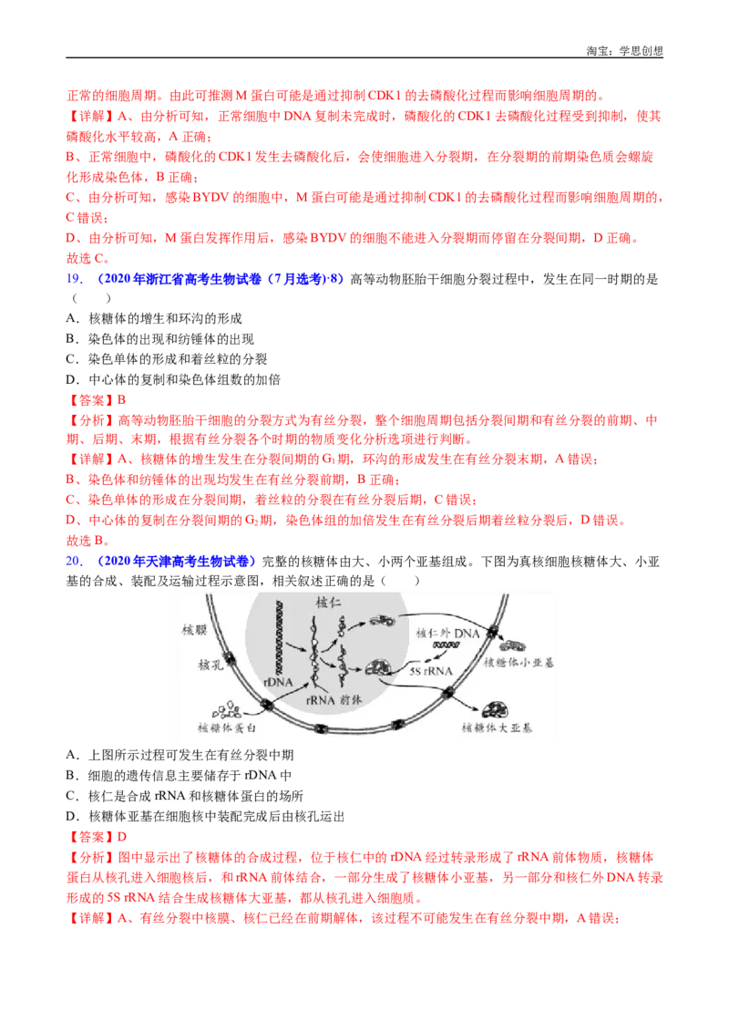 专题08有丝分裂和减数分裂-好题汇编十年（2015-2024）高考生物真题分类汇编（全国通用）（解析版）_生物真题汇总_十年（2014-2024）高考生物真题分项汇编（全国通用）