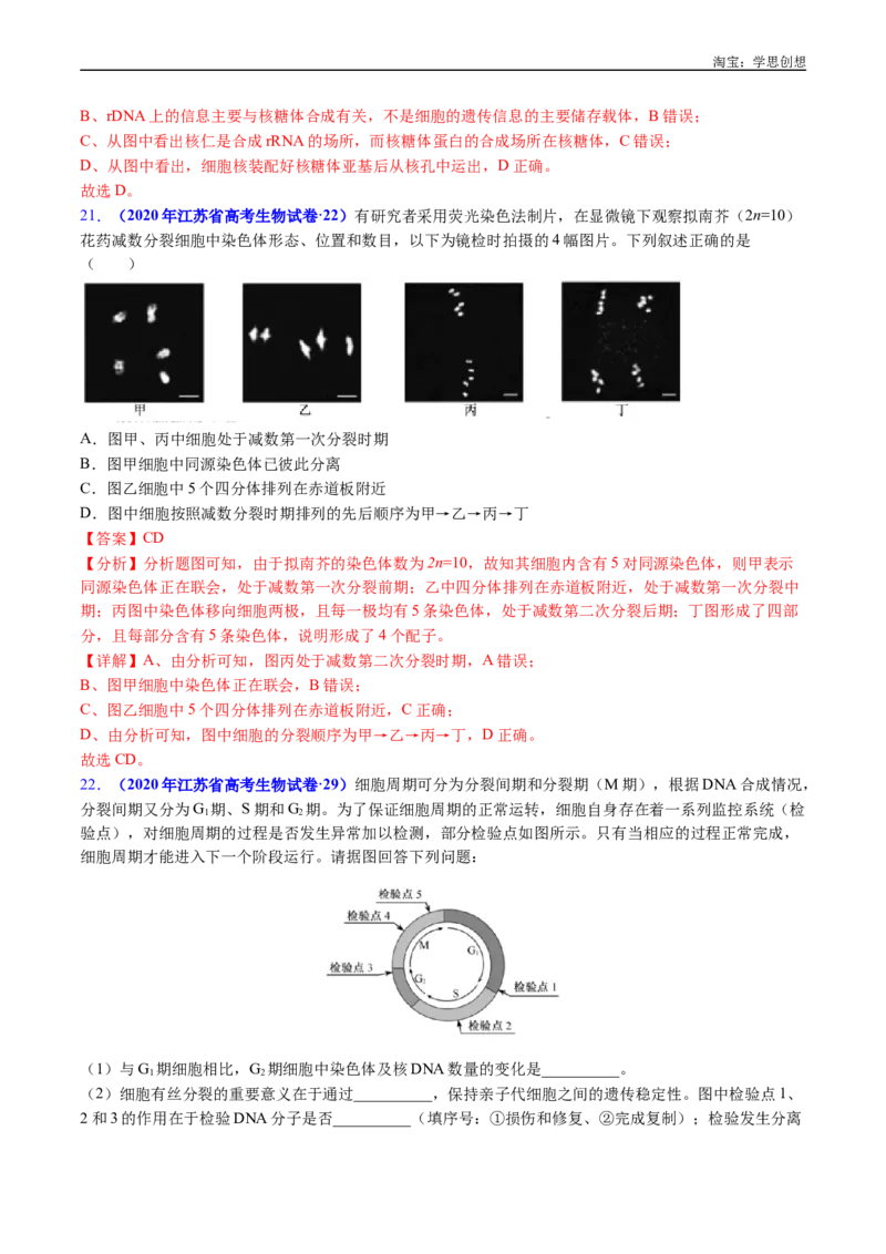 专题08有丝分裂和减数分裂-好题汇编十年（2015-2024）高考生物真题分类汇编（全国通用）（解析版）_生物真题汇总_十年（2014-2024）高考生物真题分项汇编（全国通用）