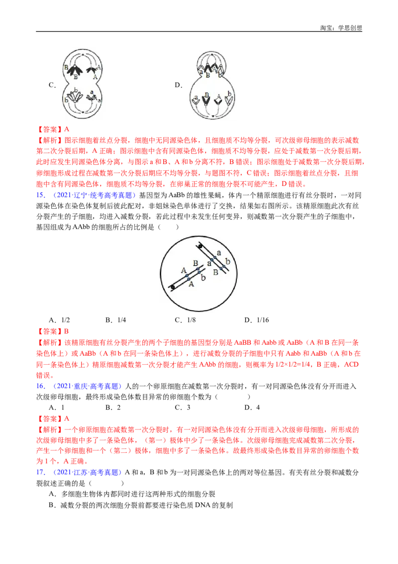 专题08有丝分裂和减数分裂-好题汇编十年（2015-2024）高考生物真题分类汇编（全国通用）（解析版）_生物真题汇总_十年（2014-2024）高考生物真题分项汇编（全国通用）