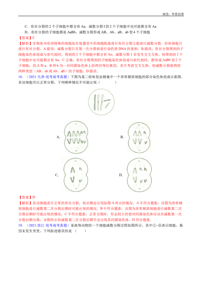专题08有丝分裂和减数分裂-好题汇编十年（2015-2024）高考生物真题分类汇编（全国通用）（解析版）_生物真题汇总_十年（2014-2024）高考生物真题分项汇编（全国通用）