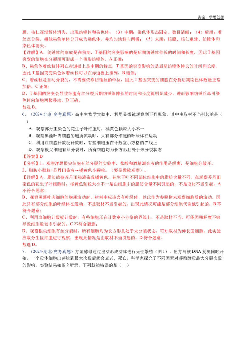 专题08有丝分裂和减数分裂-好题汇编十年（2015-2024）高考生物真题分类汇编（全国通用）（解析版）_生物真题汇总_十年（2014-2024）高考生物真题分项汇编（全国通用）