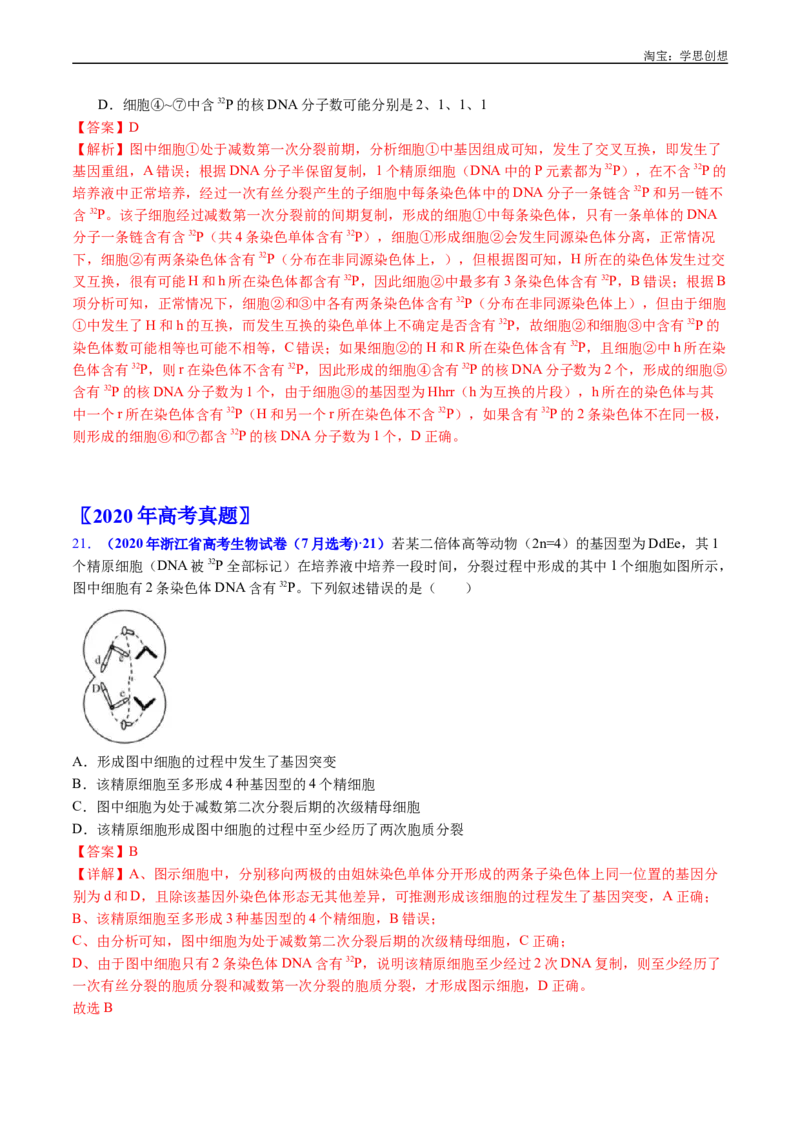 专题08有丝分裂和减数分裂-好题汇编十年（2015-2024）高考生物真题分类汇编（全国通用）（解析版）_生物真题汇总_十年（2014-2024）高考生物真题分项汇编（全国通用）