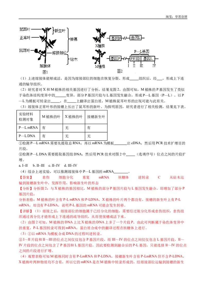 专题24细胞工程与胚胎工程-好题汇编十年（2015-2024）高考生物真题分类汇编（全国通用）（解析版）_生物真题汇总_十年（2014-2024）高考生物真题分项汇编（全国通用）