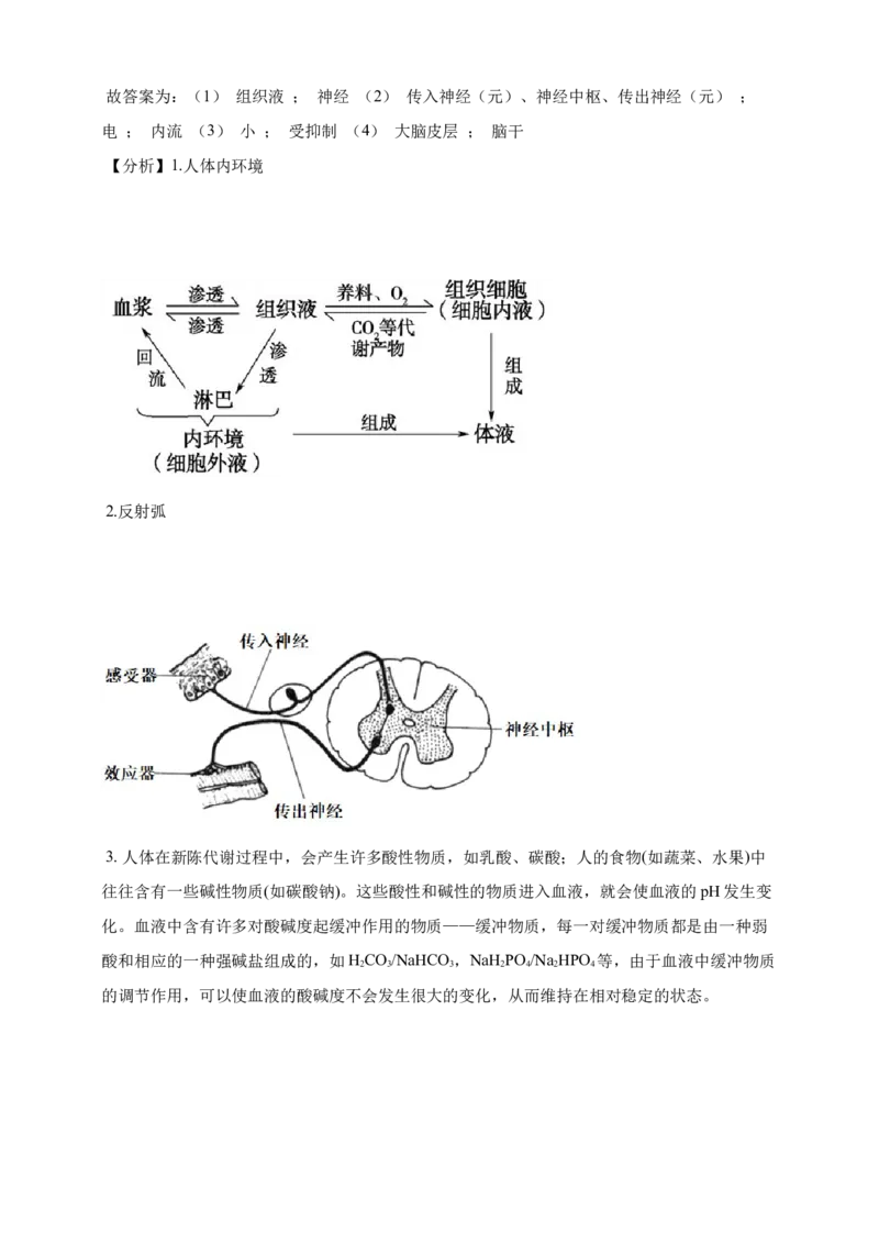 专题17内环境及稳态（答案解析）_生物真题汇总_&radic;近三年（2023-2025）高考生物真题分专项精编_答案解析