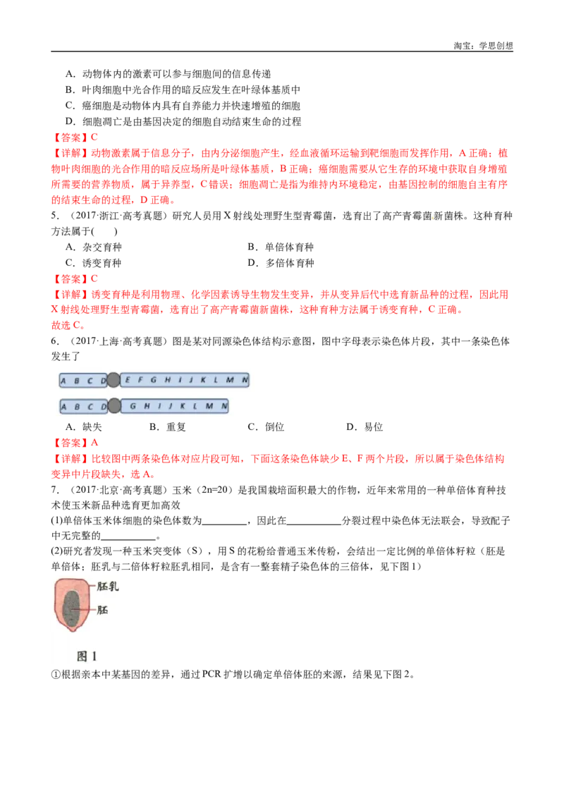 专题14变异、育种与进化-好题汇编十年（2015-2024）高考生物真题分类汇编（全国通用）（解析版）_生物真题汇总_十年（2014-2024）高考生物真题分项汇编（全国通用）