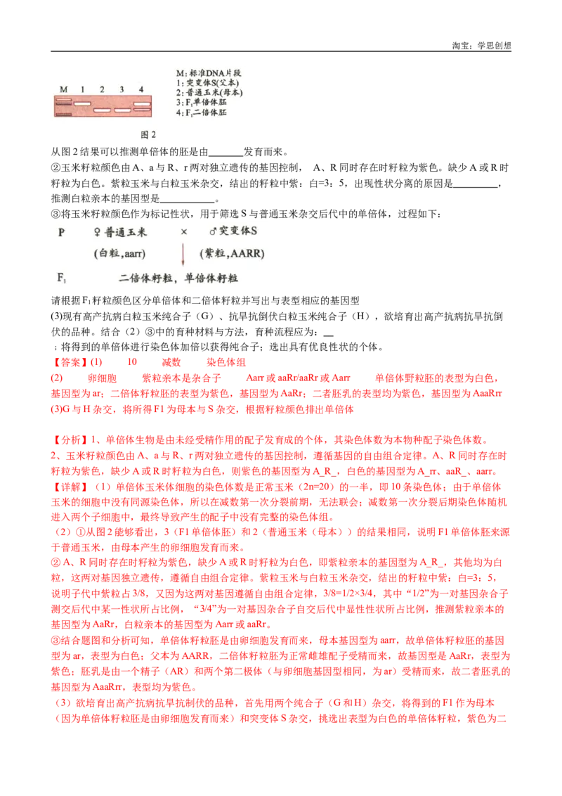 专题14变异、育种与进化-好题汇编十年（2015-2024）高考生物真题分类汇编（全国通用）（解析版）_生物真题汇总_十年（2014-2024）高考生物真题分项汇编（全国通用）
