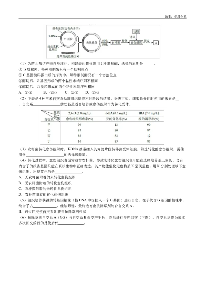专题14变异、育种与进化-好题汇编十年（2015-2024）高考生物真题分类汇编（全国通用）（解析版）_生物真题汇总_十年（2014-2024）高考生物真题分项汇编（全国通用）