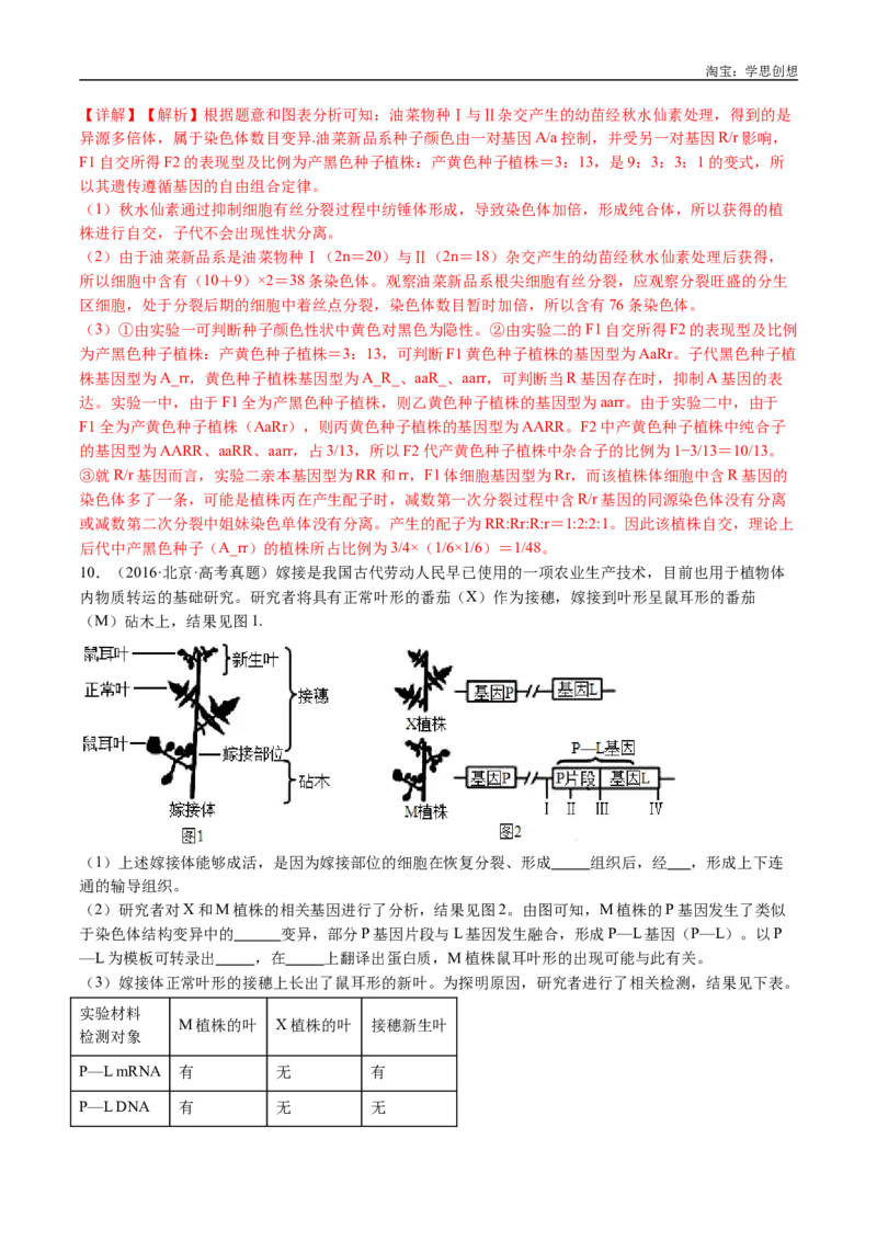 专题14变异、育种与进化-好题汇编十年（2015-2024）高考生物真题分类汇编（全国通用）（解析版）_生物真题汇总_十年（2014-2024）高考生物真题分项汇编（全国通用）