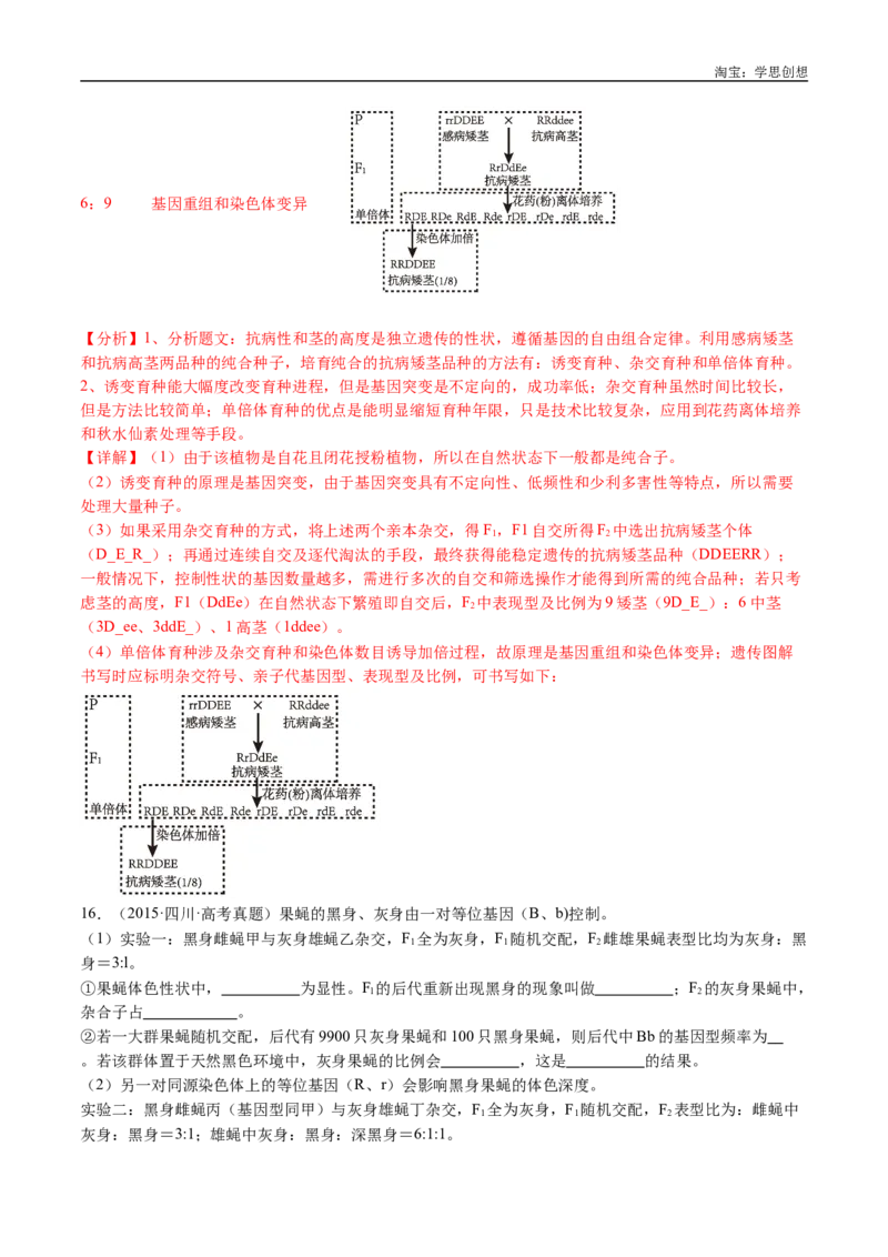专题14变异、育种与进化-好题汇编十年（2015-2024）高考生物真题分类汇编（全国通用）（解析版）_生物真题汇总_十年（2014-2024）高考生物真题分项汇编（全国通用）