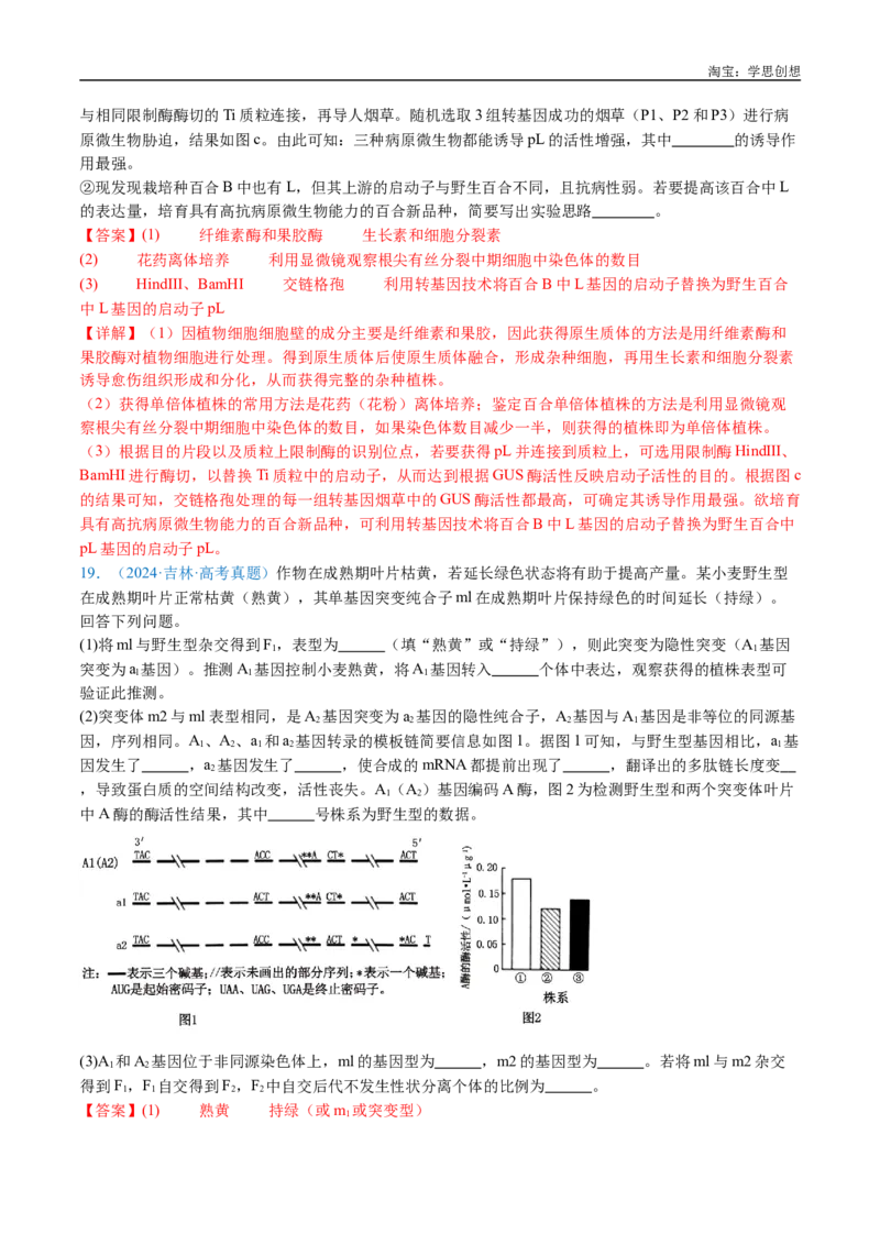 专题14变异、育种与进化-好题汇编十年（2015-2024）高考生物真题分类汇编（全国通用）（解析版）_生物真题汇总_十年（2014-2024）高考生物真题分项汇编（全国通用）
