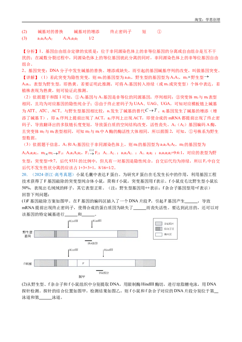 专题14变异、育种与进化-好题汇编十年（2015-2024）高考生物真题分类汇编（全国通用）（解析版）_生物真题汇总_十年（2014-2024）高考生物真题分项汇编（全国通用）