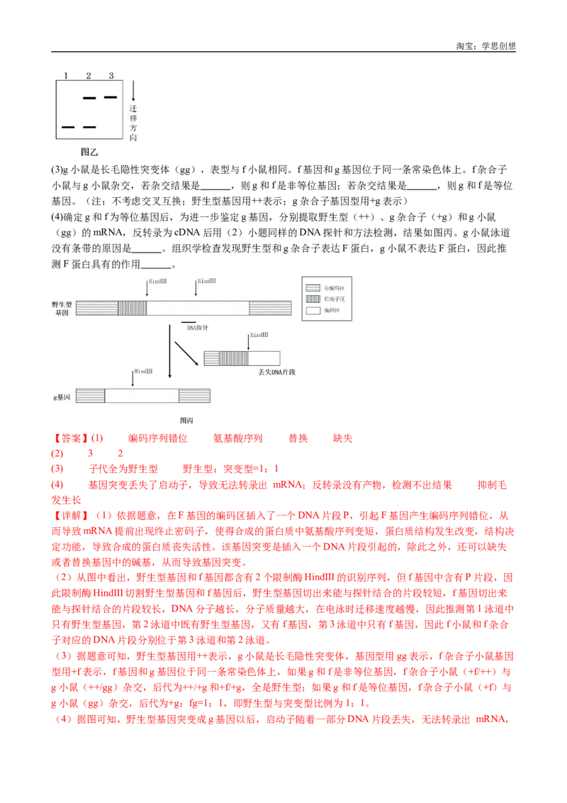 专题14变异、育种与进化-好题汇编十年（2015-2024）高考生物真题分类汇编（全国通用）（解析版）_生物真题汇总_十年（2014-2024）高考生物真题分项汇编（全国通用）