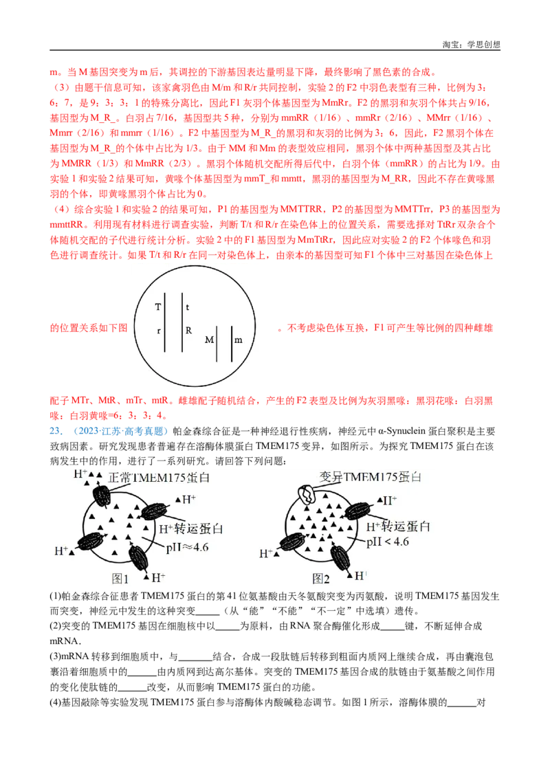 专题14变异、育种与进化-好题汇编十年（2015-2024）高考生物真题分类汇编（全国通用）（解析版）_生物真题汇总_十年（2014-2024）高考生物真题分项汇编（全国通用）