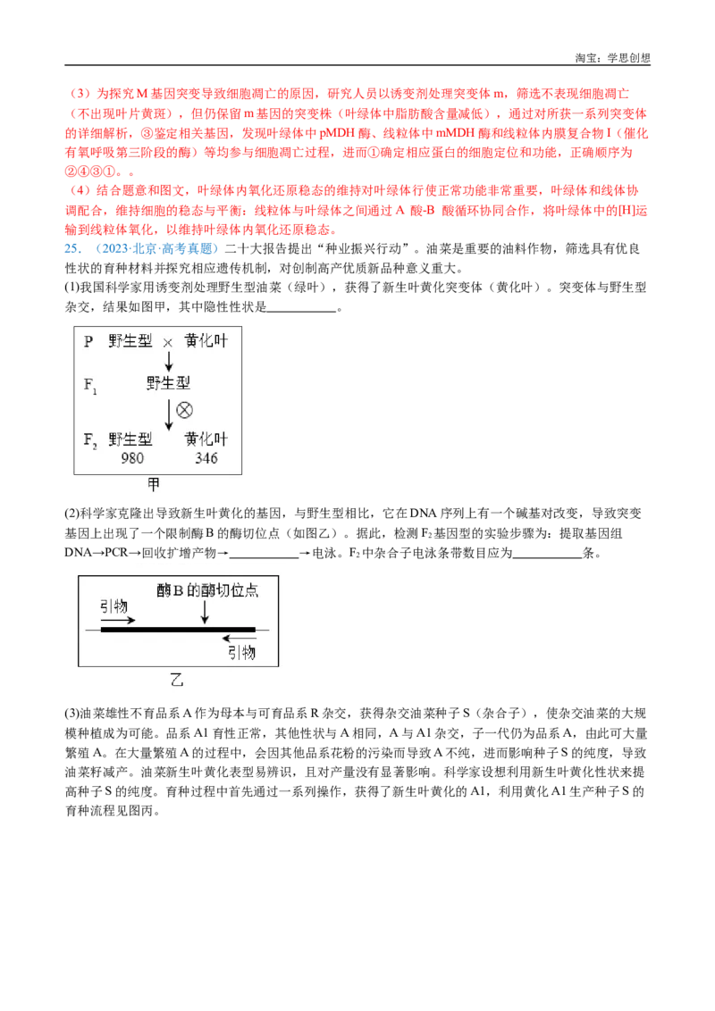 专题14变异、育种与进化-好题汇编十年（2015-2024）高考生物真题分类汇编（全国通用）（解析版）_生物真题汇总_十年（2014-2024）高考生物真题分项汇编（全国通用）