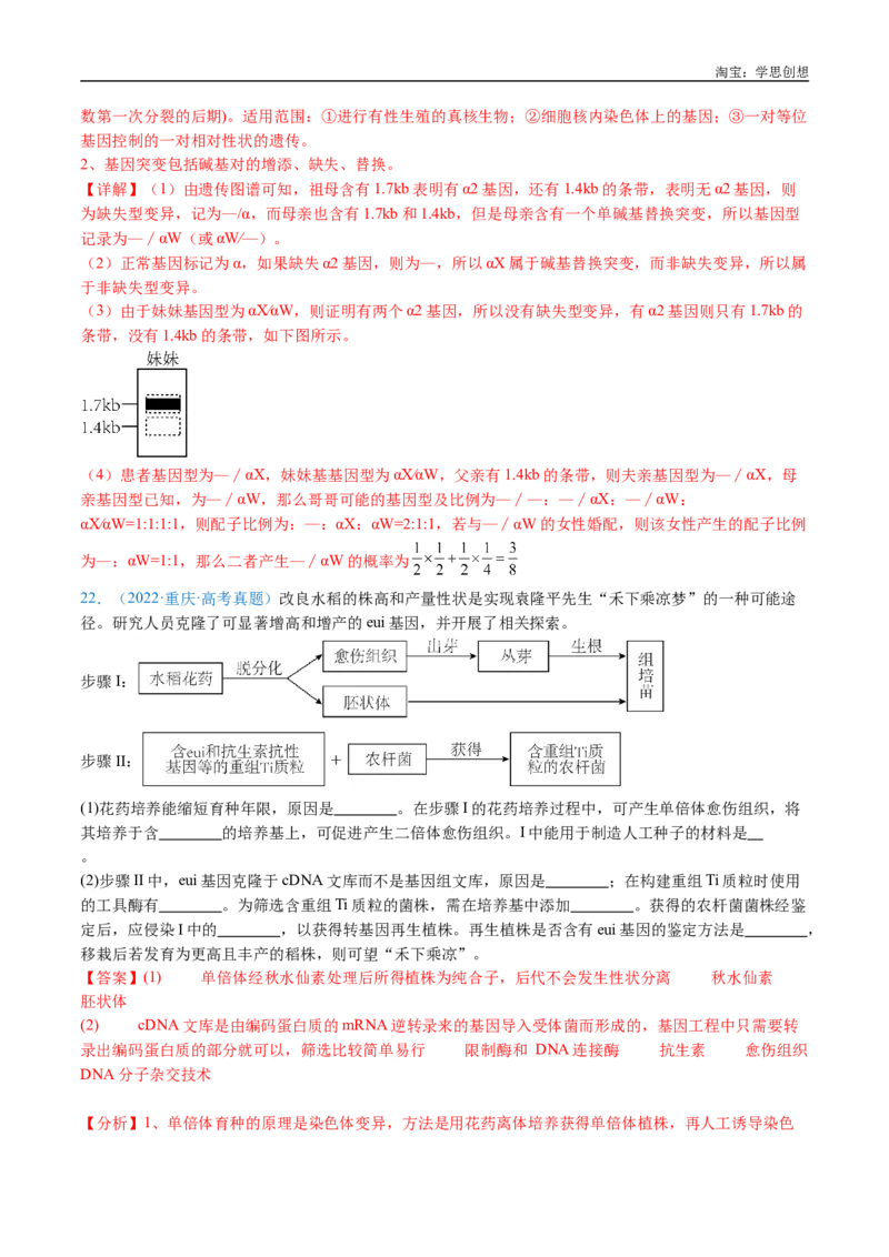 专题14变异、育种与进化-好题汇编十年（2015-2024）高考生物真题分类汇编（全国通用）（解析版）_生物真题汇总_十年（2014-2024）高考生物真题分项汇编（全国通用）