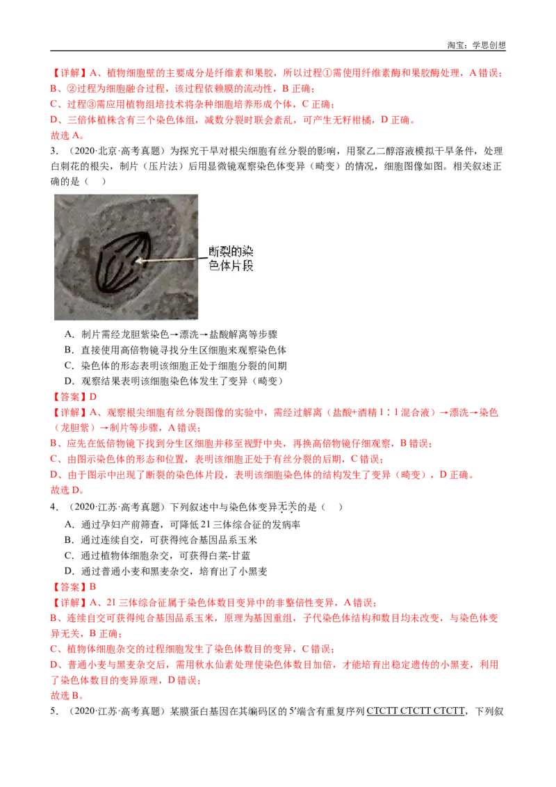 专题14变异、育种与进化-好题汇编十年（2015-2024）高考生物真题分类汇编（全国通用）（解析版）_生物真题汇总_十年（2014-2024）高考生物真题分项汇编（全国通用）