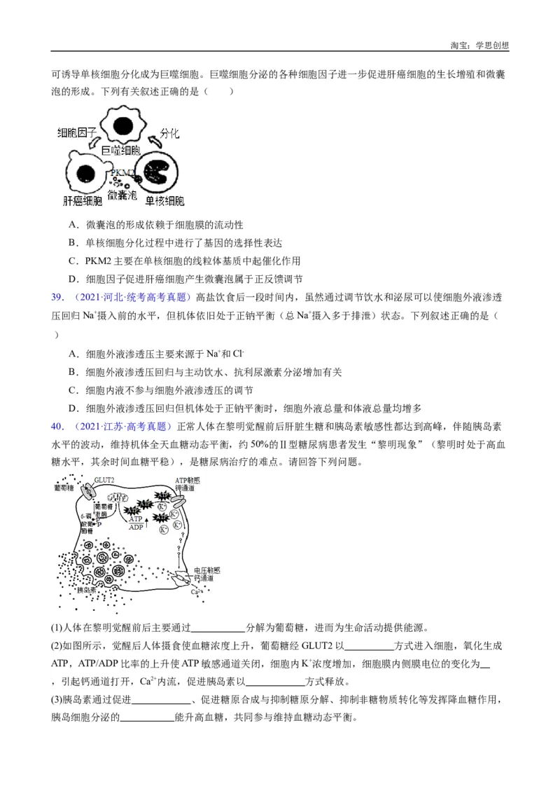 专题18体液调节-好题汇编十年（2015-2024）高考生物真题分类汇编（全国通用）（原卷版）_生物真题汇总_十年（2014-2024）高考生物真题分项汇编（全国通用）
