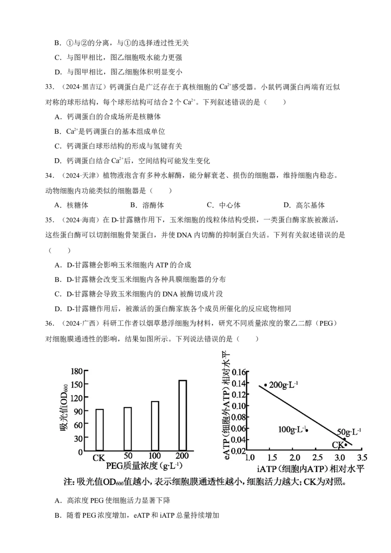 专题02细胞的基本结构_生物真题汇总_&radic;近三年（2023-2025）高考生物真题分专项精编_真题分专项汇编