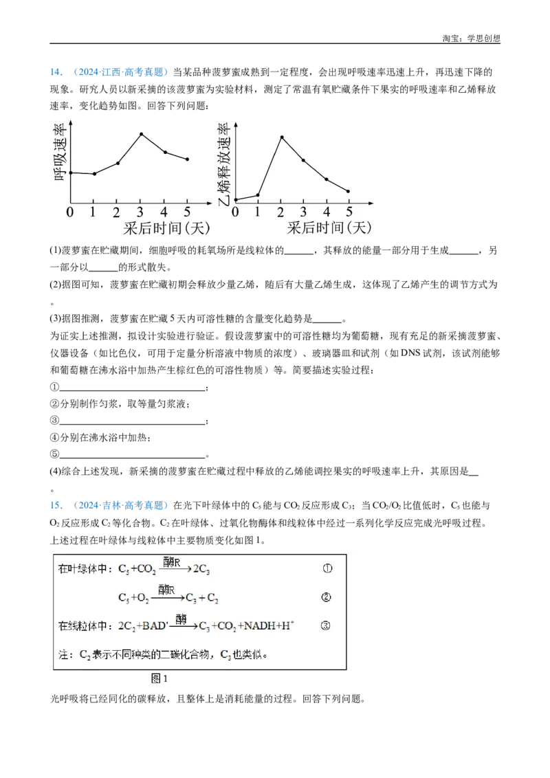 专题05细胞呼吸-好题汇编十年（2015-2024）高考生物真题分类汇编（全国通用）（原卷版）_生物真题汇总_十年（2014-2024）高考生物真题分项汇编（全国通用）