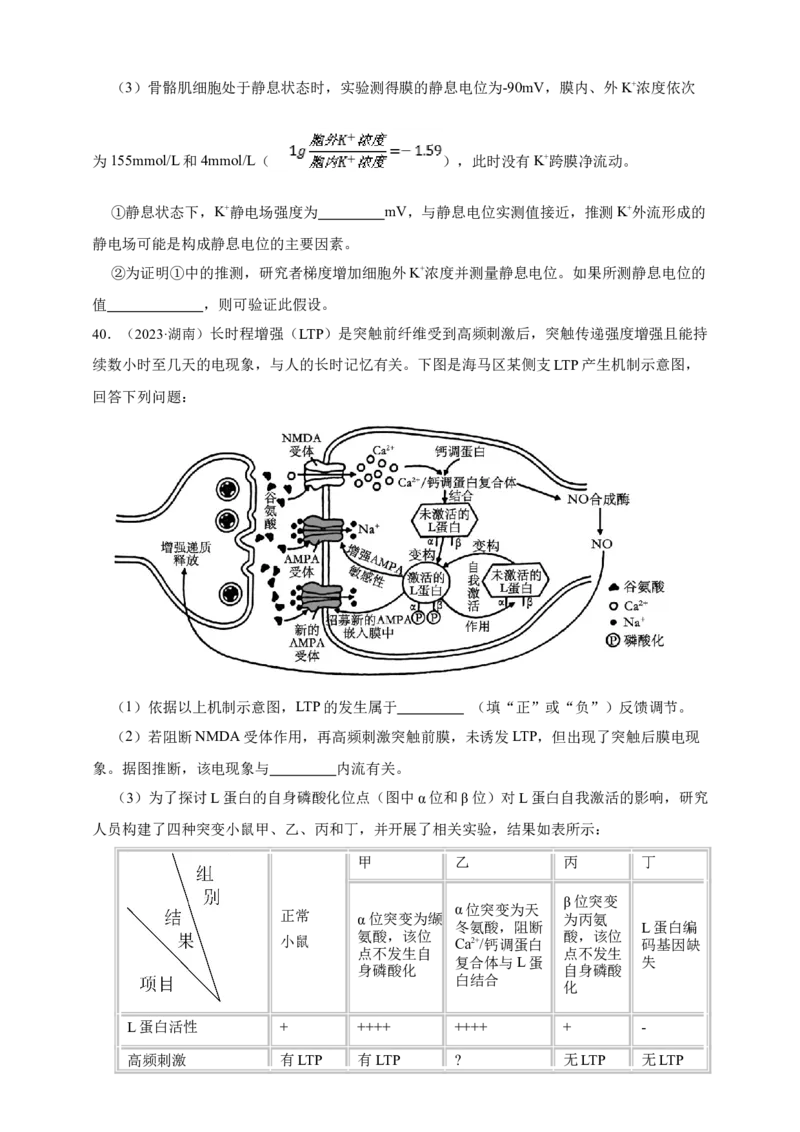 专题16神经调节_生物真题汇总_&radic;近三年（2023-2025）高考生物真题分专项精编_真题分专项汇编