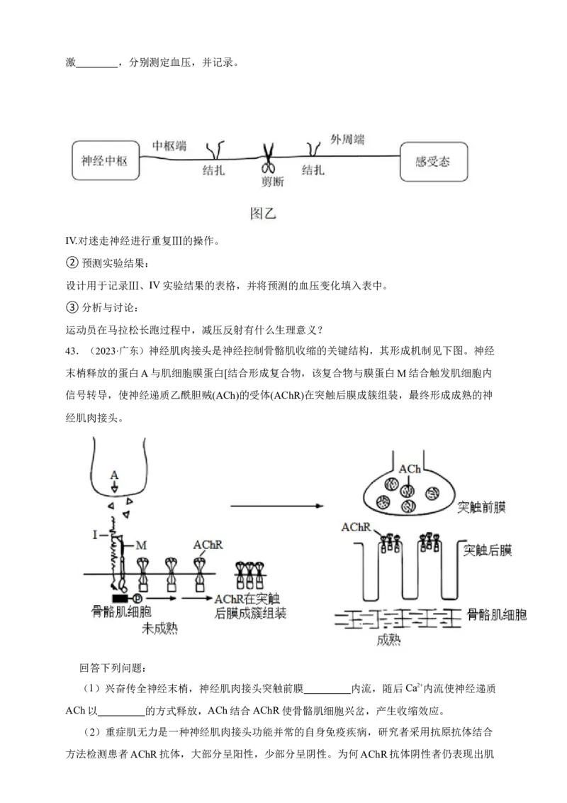 专题16神经调节_生物真题汇总_&radic;近三年（2023-2025）高考生物真题分专项精编_真题分专项汇编