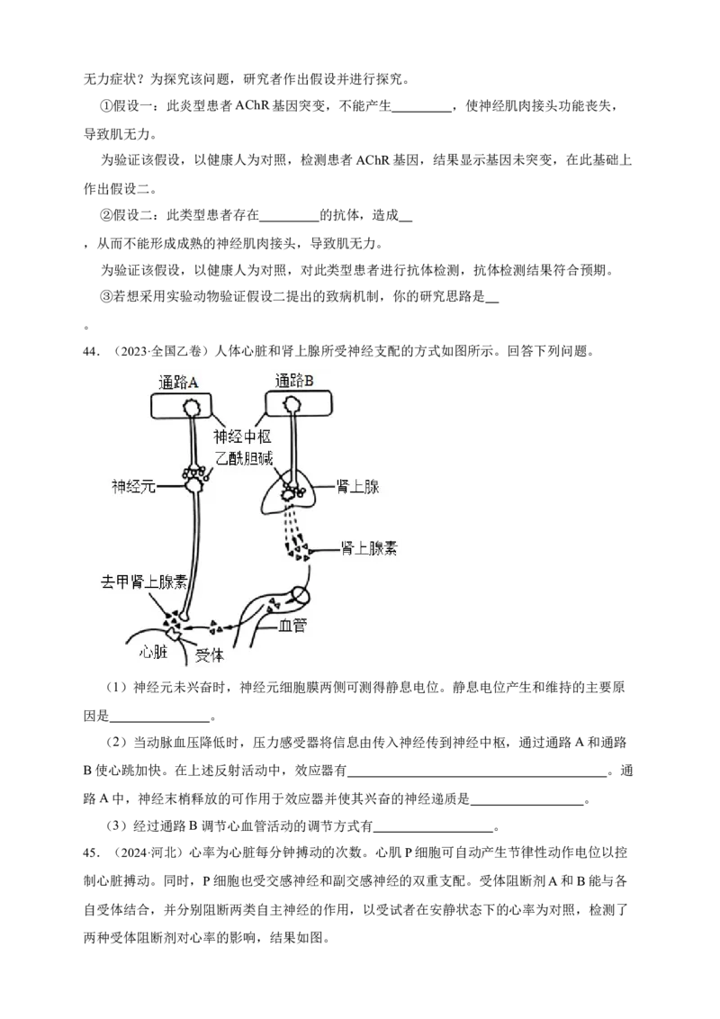 专题16神经调节_生物真题汇总_&radic;近三年（2023-2025）高考生物真题分专项精编_真题分专项汇编