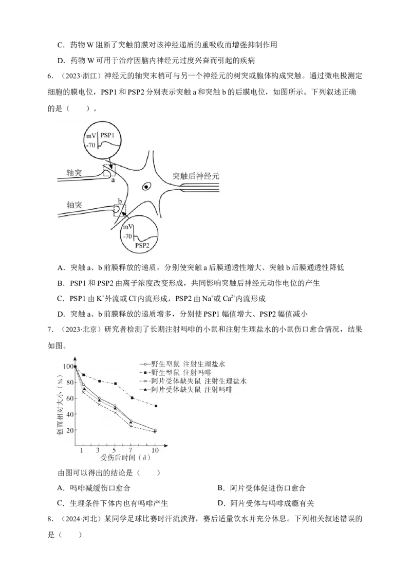 专题16神经调节_生物真题汇总_&radic;近三年（2023-2025）高考生物真题分专项精编_真题分专项汇编