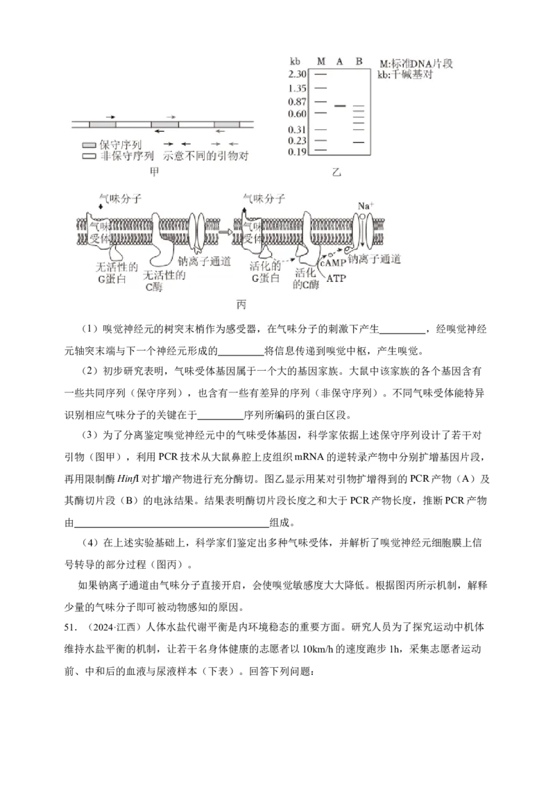 专题16神经调节_生物真题汇总_&radic;近三年（2023-2025）高考生物真题分专项精编_真题分专项汇编