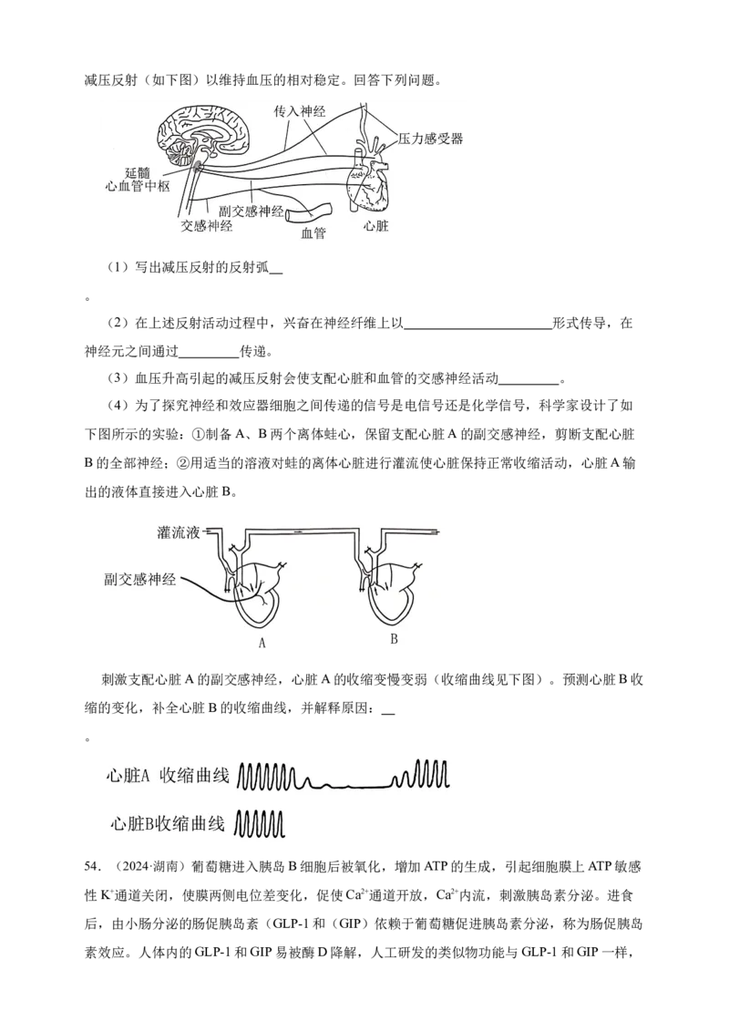 专题16神经调节_生物真题汇总_&radic;近三年（2023-2025）高考生物真题分专项精编_真题分专项汇编