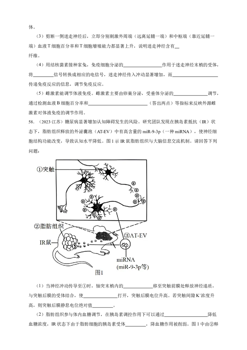 专题16神经调节_生物真题汇总_&radic;近三年（2023-2025）高考生物真题分专项精编_真题分专项汇编