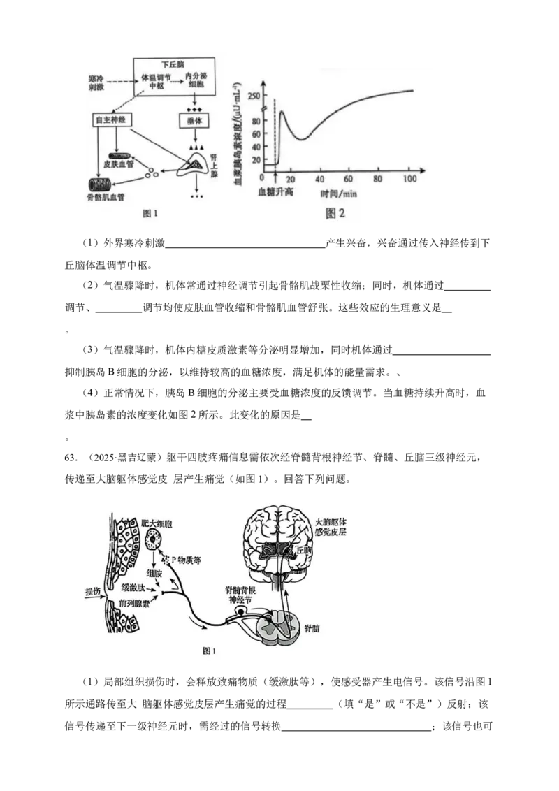 专题16神经调节_生物真题汇总_&radic;近三年（2023-2025）高考生物真题分专项精编_真题分专项汇编