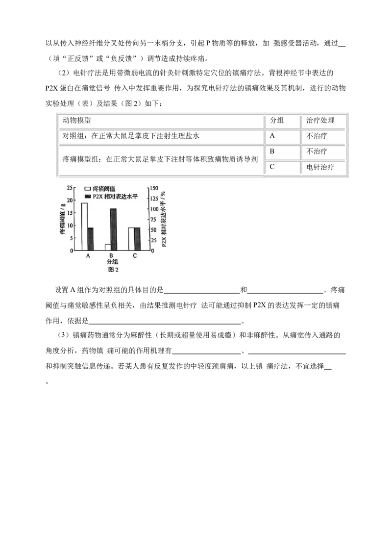 专题16神经调节_生物真题汇总_&radic;近三年（2023-2025）高考生物真题分专项精编_真题分专项汇编